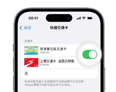 独山apple维修点分享iPhone上更换Apple Pay快捷交通卡手绘卡面 