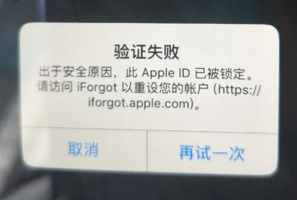 独山iPhone维修分享iPhone上正常登录或使用AppleID怎么办 