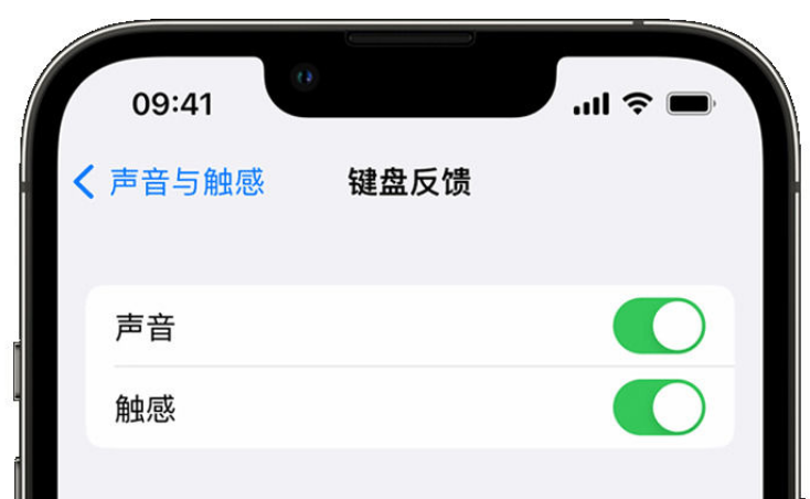 独山苹果手机维修分享iPhone 14触感键盘使用方法 