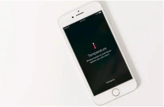 独山苹果手机维修分享iPhone 手机发热如何快速降温 