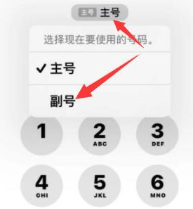 独山苹果14维修店分享iPhone 14 Pro Max使用副卡打电话的方法 