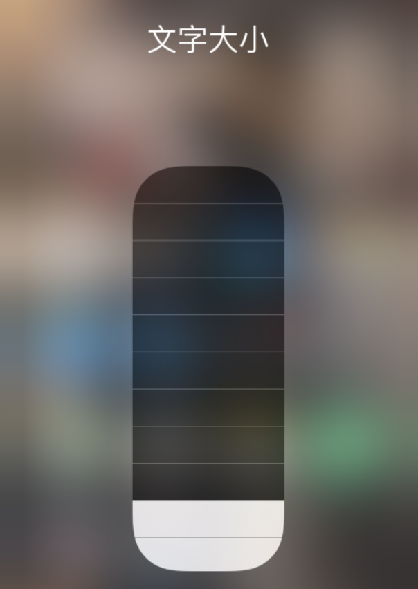 独山苹果手机维修分享小技巧：在 iPhone 控制中心快速调节字体大小 